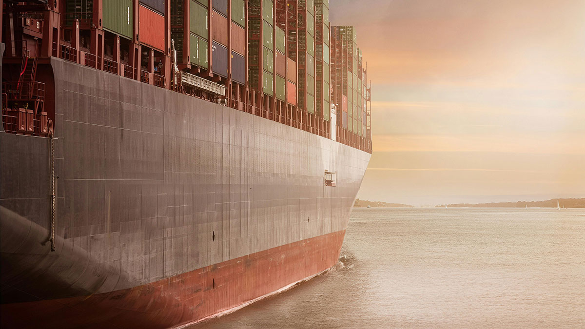 Export & Shipping Support